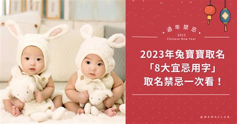 兔年寶寶|2023年兔寶寶新生兒取名禁忌：筆劃數、生肖忌用字｜大衛爹